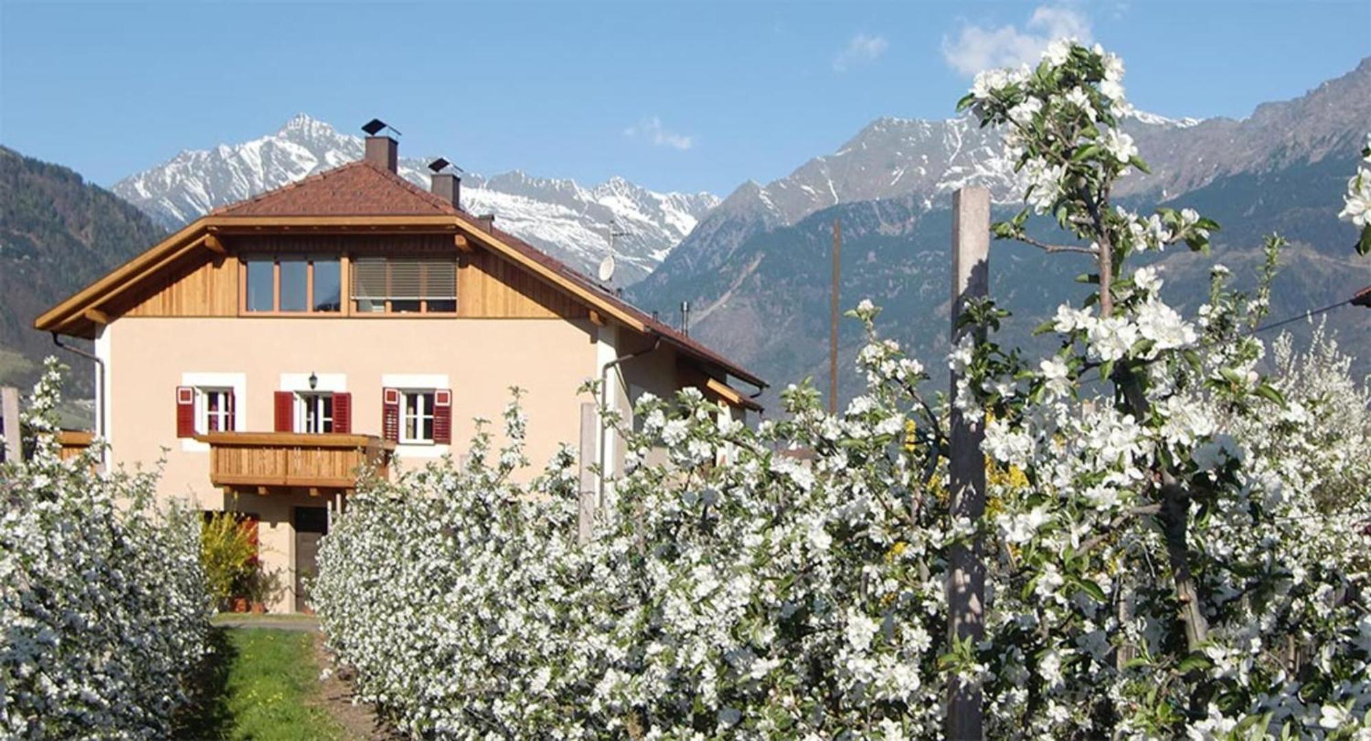 Appartamento Stoeckerhof Apfel Merano